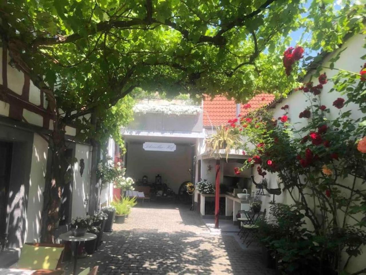 Neustadt an der Weinstraße Ferienwohnung Im 'Schmoller - Hof' מראה חיצוני תמונה